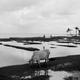 Image for article titled Photos: This is life on a sinking island